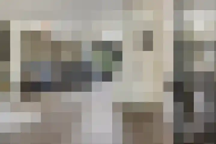 de Wildkamp 17 Epe thumbnail 8