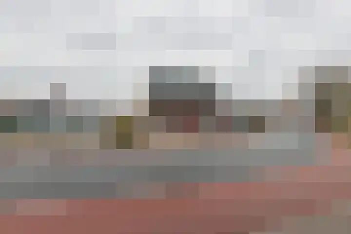 de Wildkamp 17 Epe thumbnail 9