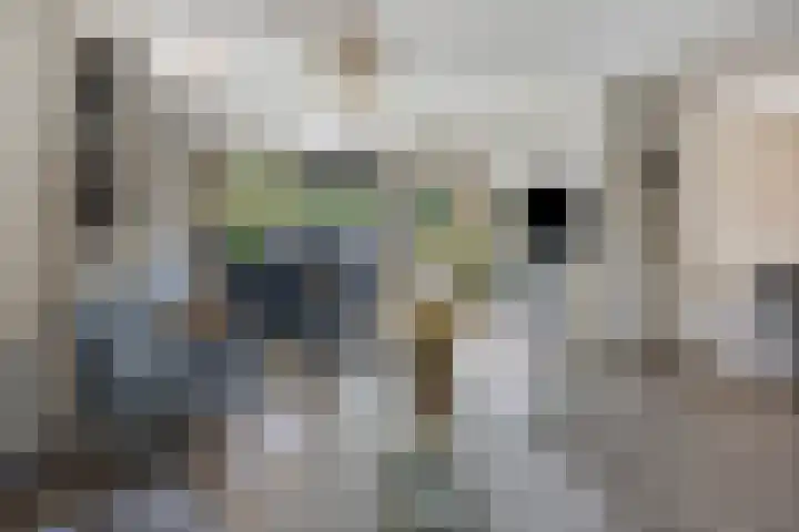 de Wildkamp 17 Epe thumbnail 9