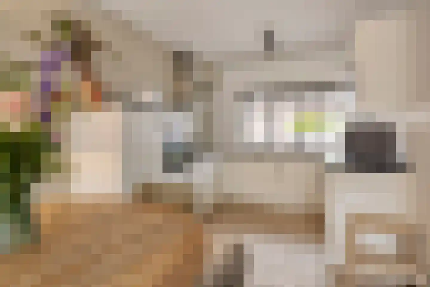 De Wildkansel 10 Dronten thumbnail 12