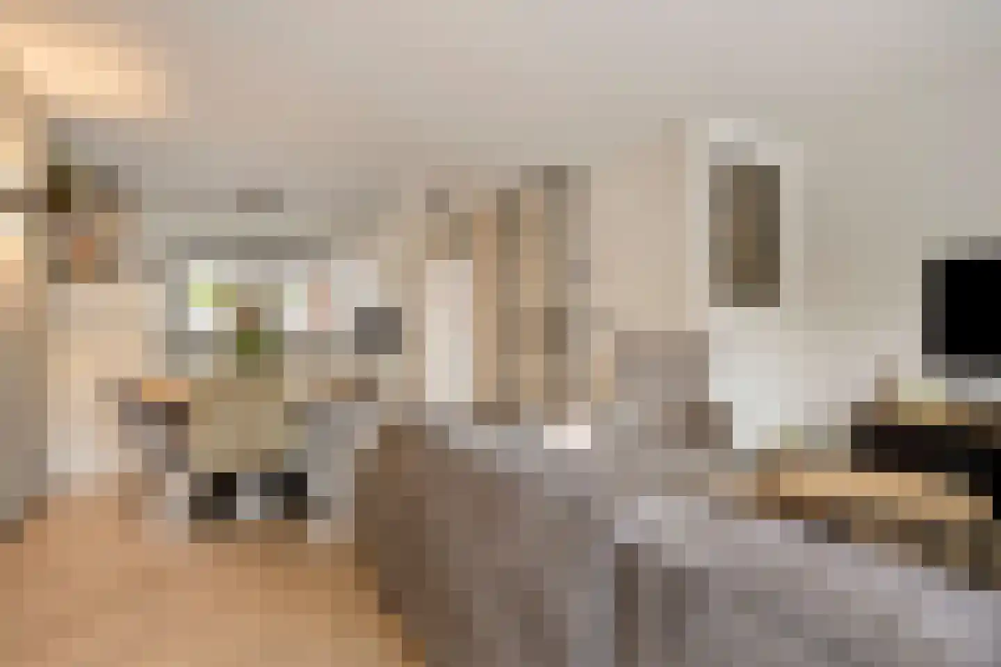 De Wildkansel 10 Dronten thumbnail 18