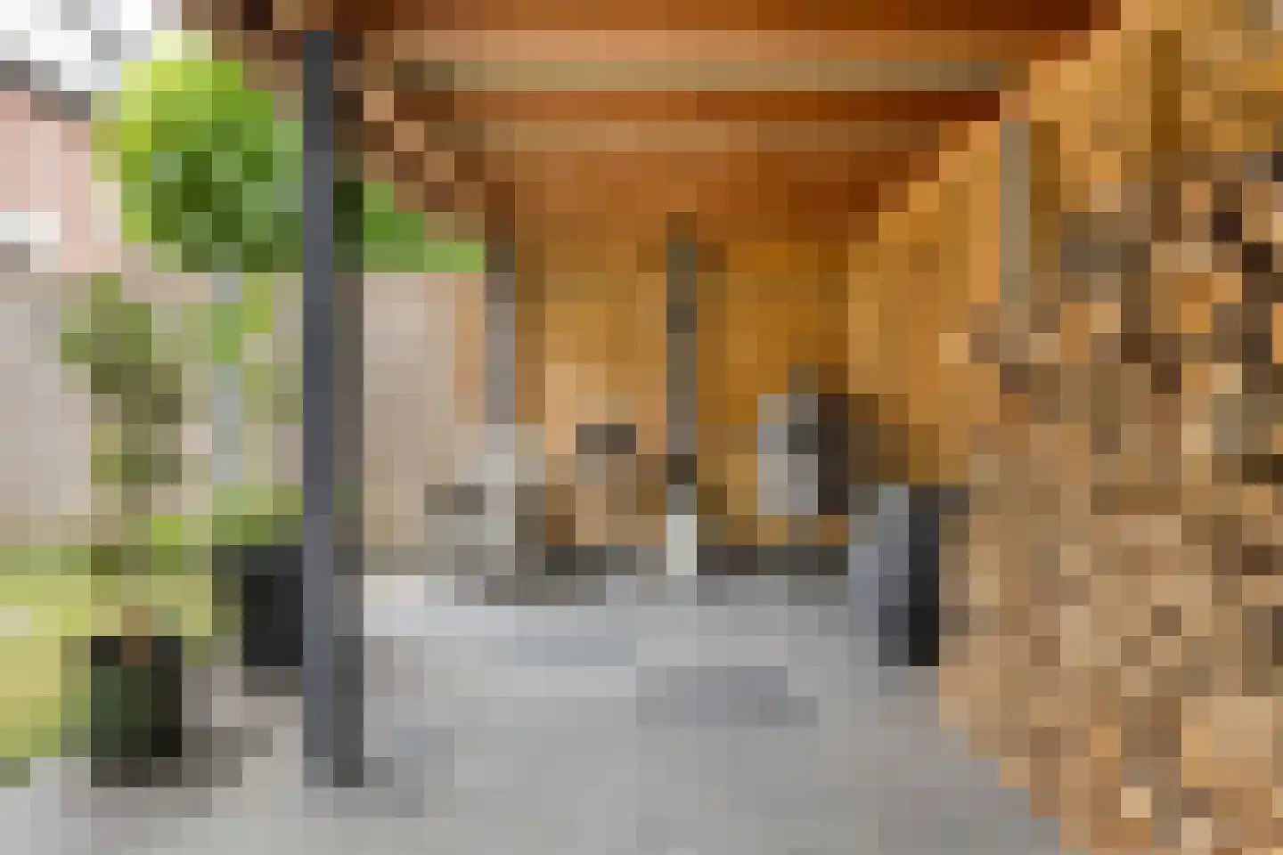De Wildkansel 10 Dronten thumbnail 39