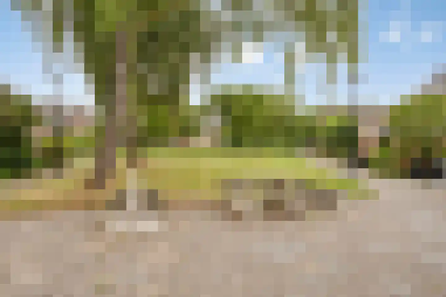De Wildkansel 10 Dronten thumbnail 43