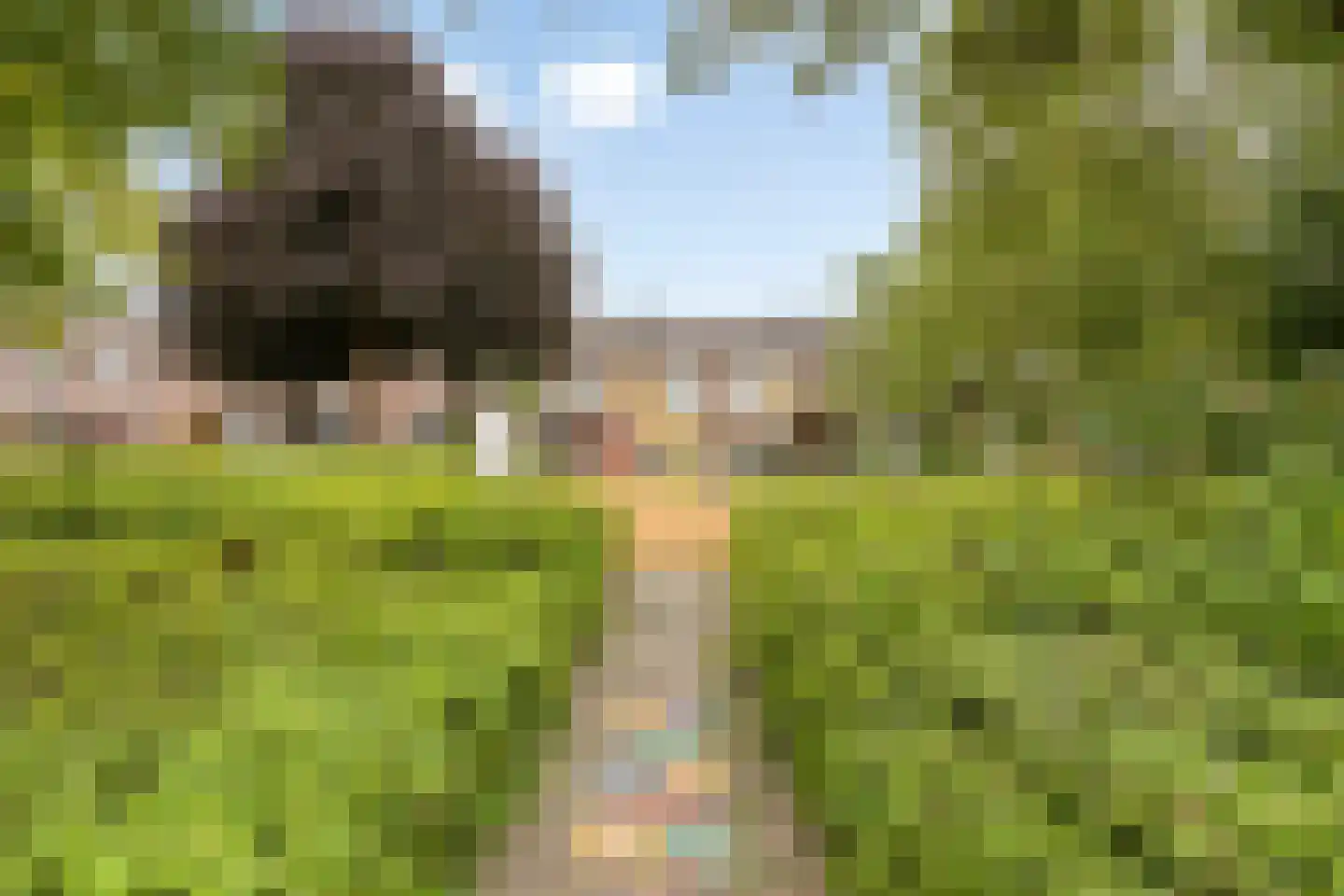 De Wildkansel 10 Dronten thumbnail 44