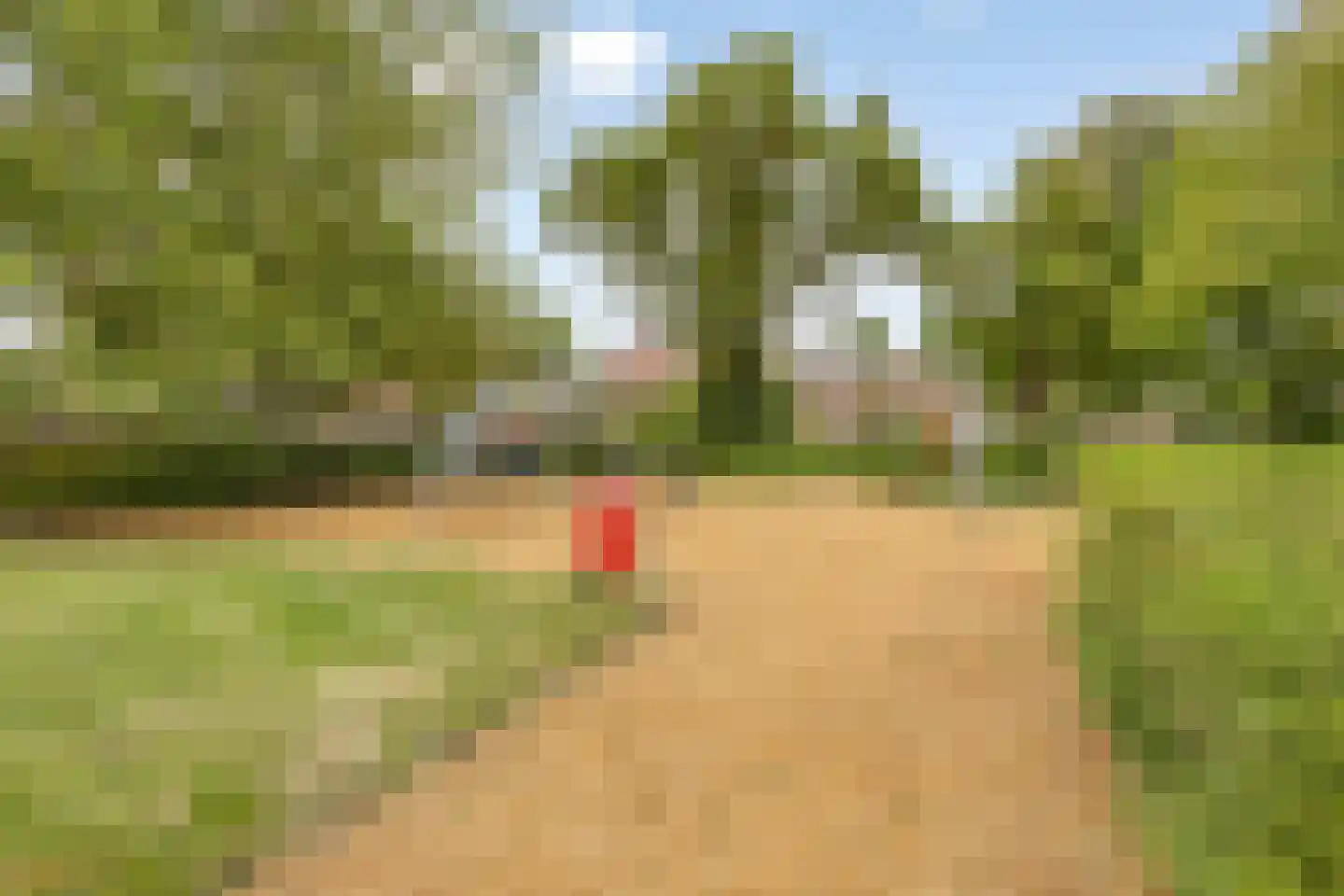 De Wildkansel 10 Dronten thumbnail 45