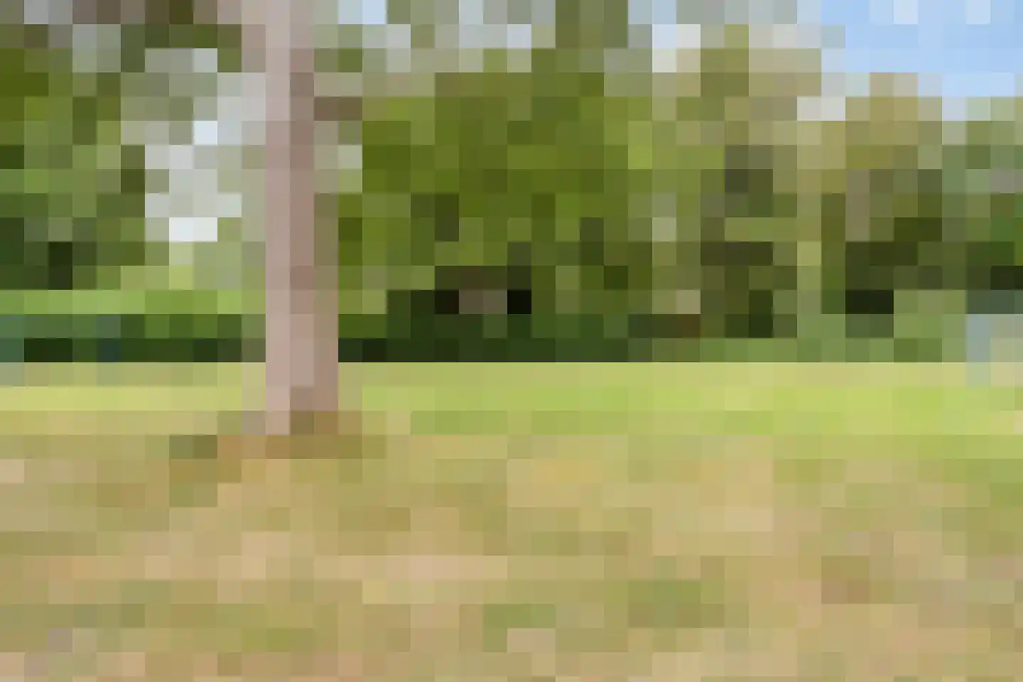 De Wildkansel 10 Dronten thumbnail 46