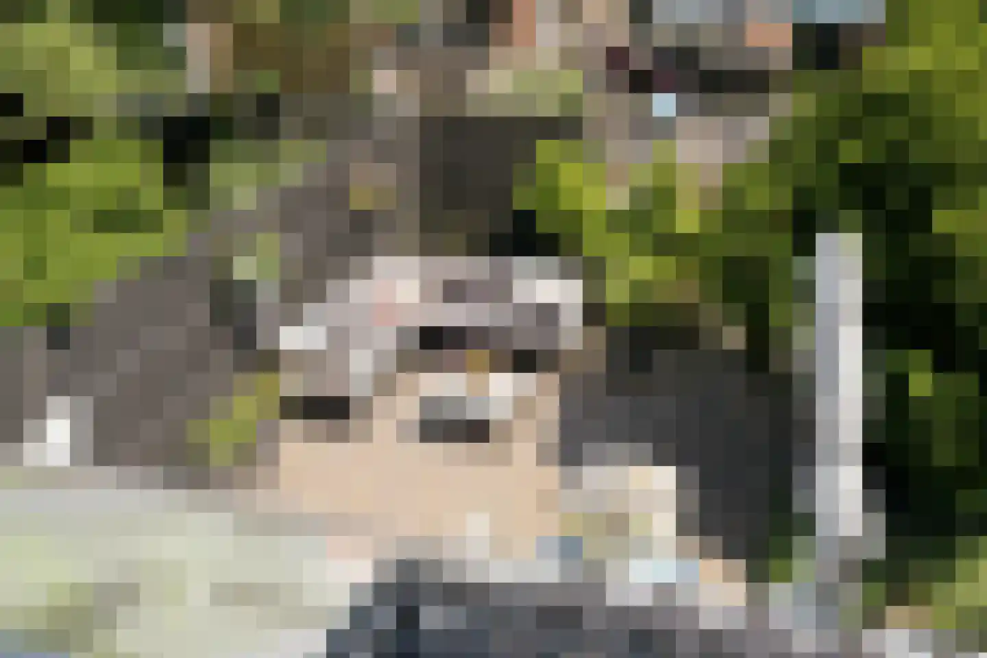 De Wildschutter 18 Zaandam thumbnail 37