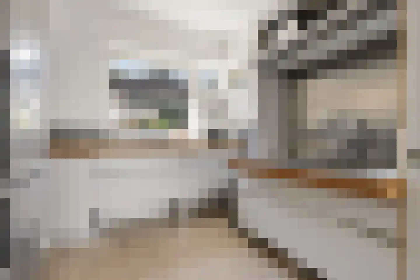 De Wildschutter 18 Zaandam thumbnail 4