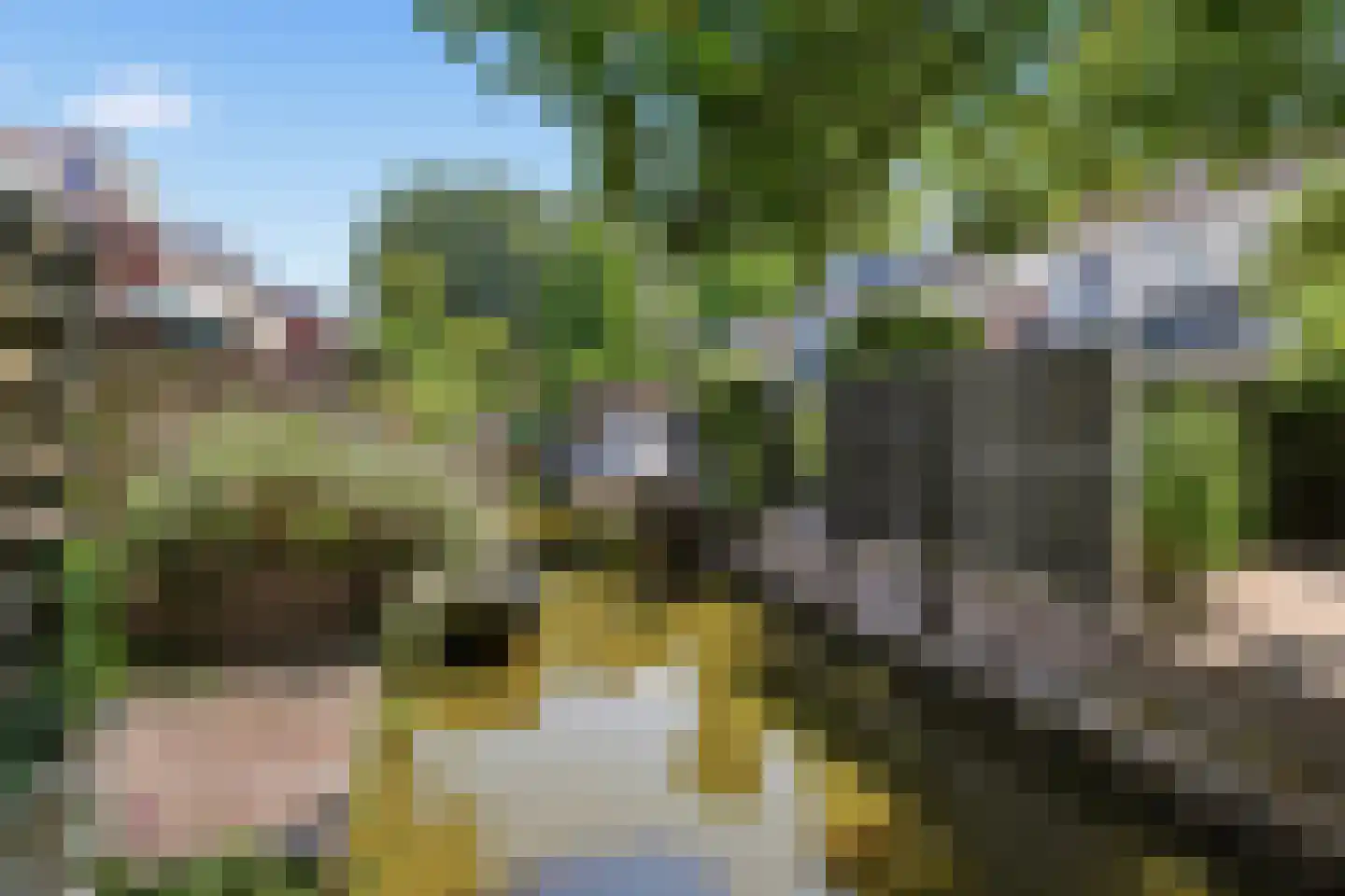 De Wildschutter 18 Zaandam thumbnail 45