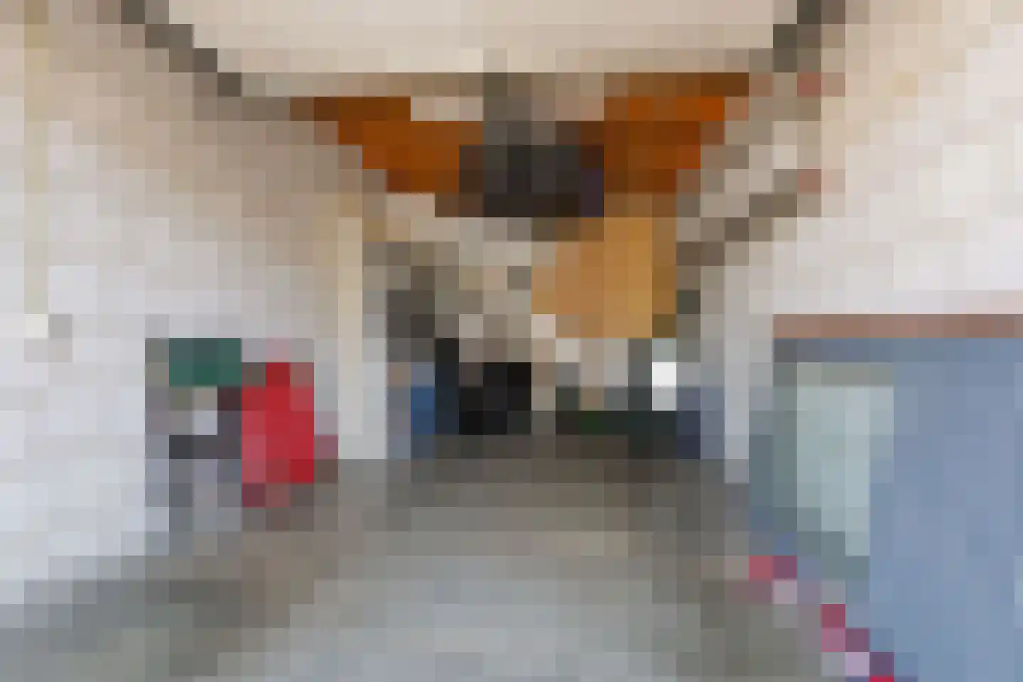 De Wildschutter 18 Zaandam thumbnail 47