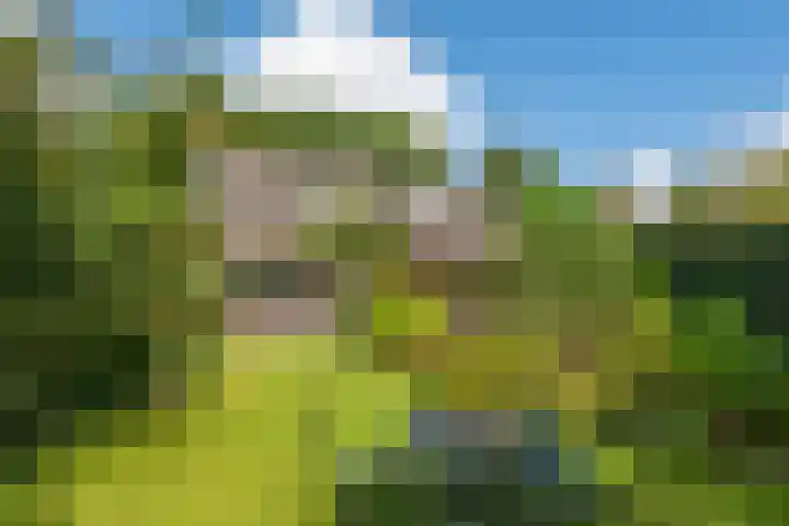 De Wildtlaan 30 Heiloo thumbnail 4