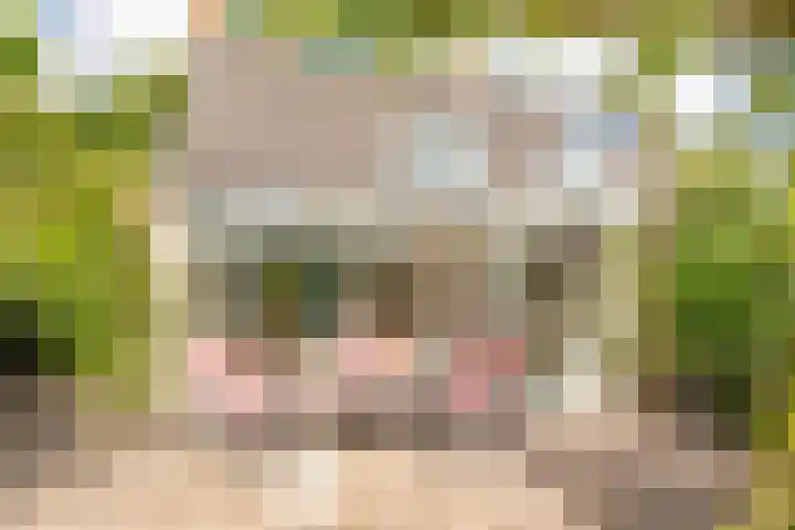 De Wildtlaan 30 Heiloo thumbnail 40