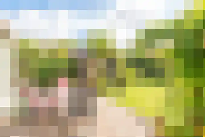De Wildtlaan 30 Heiloo thumbnail 41