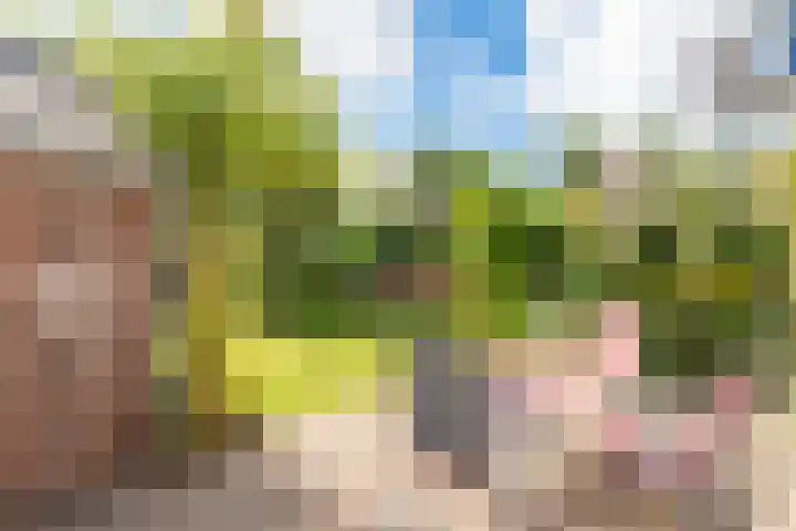 De Wildtlaan 30 Heiloo thumbnail 42