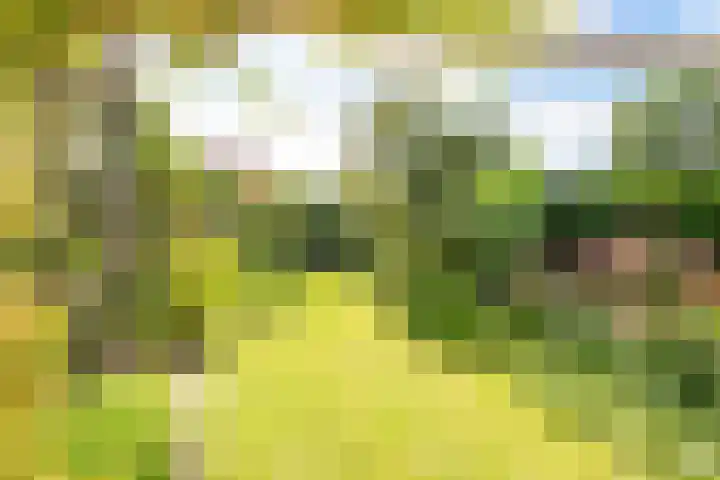 De Wildtlaan 30 Heiloo thumbnail 43
