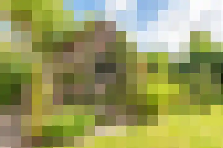 De Wildtlaan 30 Heiloo thumbnail 44