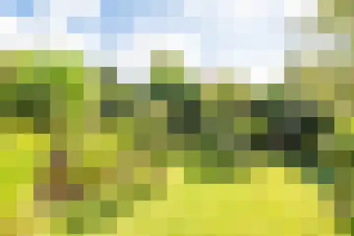 De Wildtlaan 30 Heiloo thumbnail 45