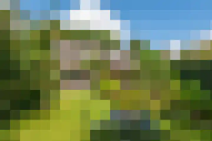 De Wildtlaan 30 Heiloo thumbnail 47