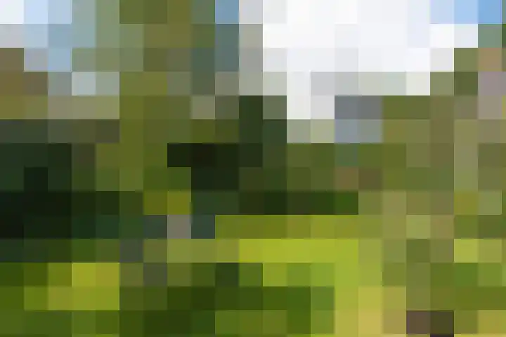 De Wildtlaan 30 Heiloo thumbnail 48