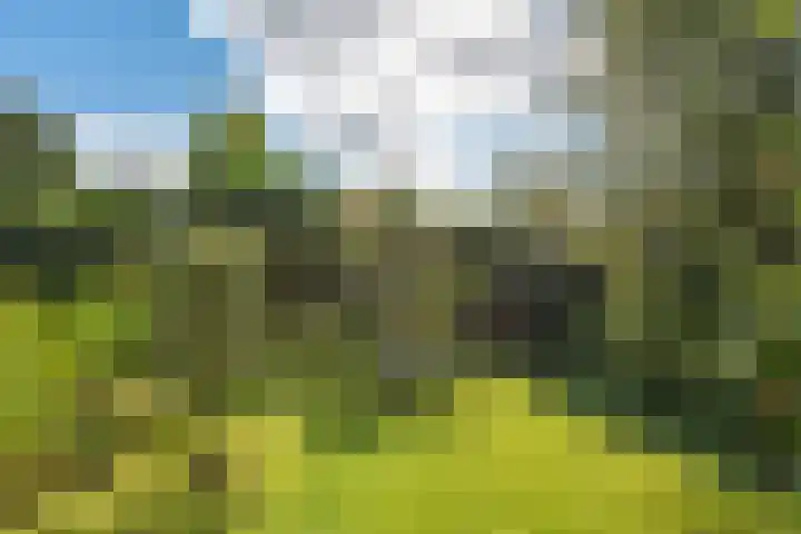 De Wildtlaan 30 Heiloo thumbnail 49