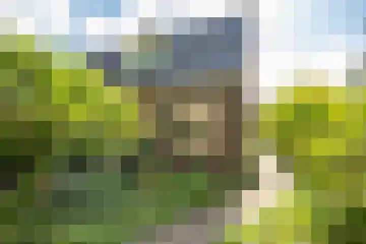 De Wildtlaan 30 Heiloo thumbnail 5