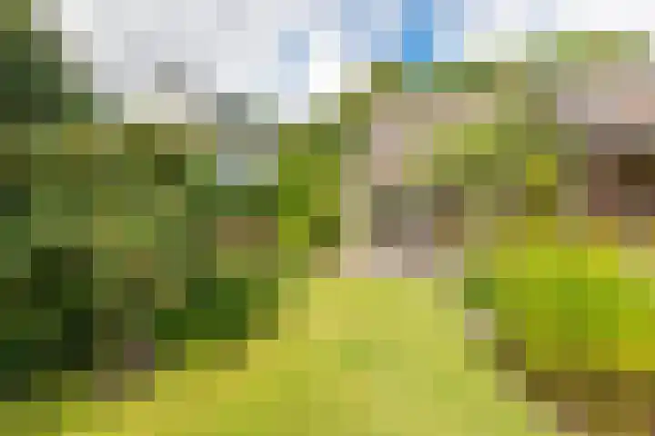 De Wildtlaan 30 Heiloo thumbnail 50