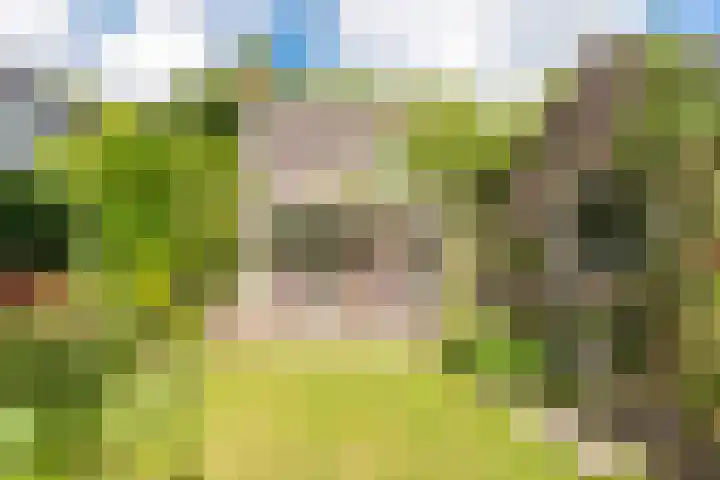 De Wildtlaan 30 Heiloo thumbnail 51