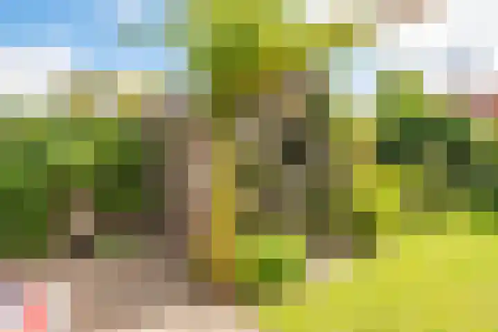 De Wildtlaan 30 Heiloo thumbnail 52