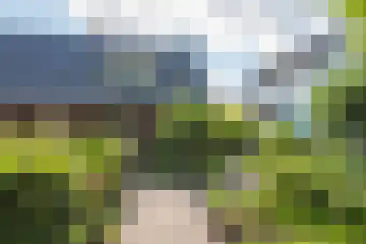 De Wildtlaan 30 Heiloo thumbnail 54