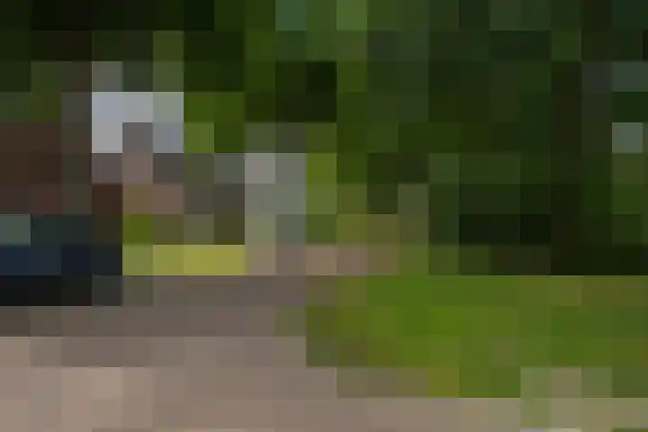 De Wildtlaan 30 Heiloo thumbnail 55