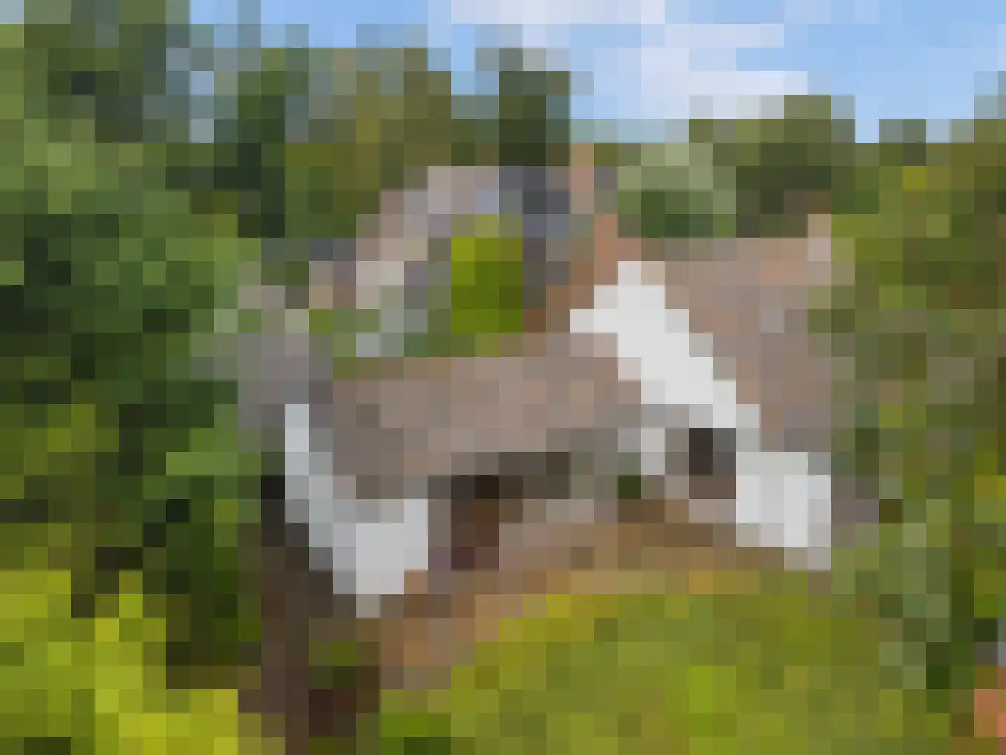 De Wildtlaan 50 Heiloo thumbnail 37