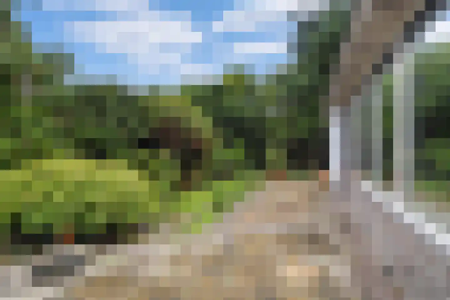 De Wildtlaan 50 Heiloo thumbnail 41