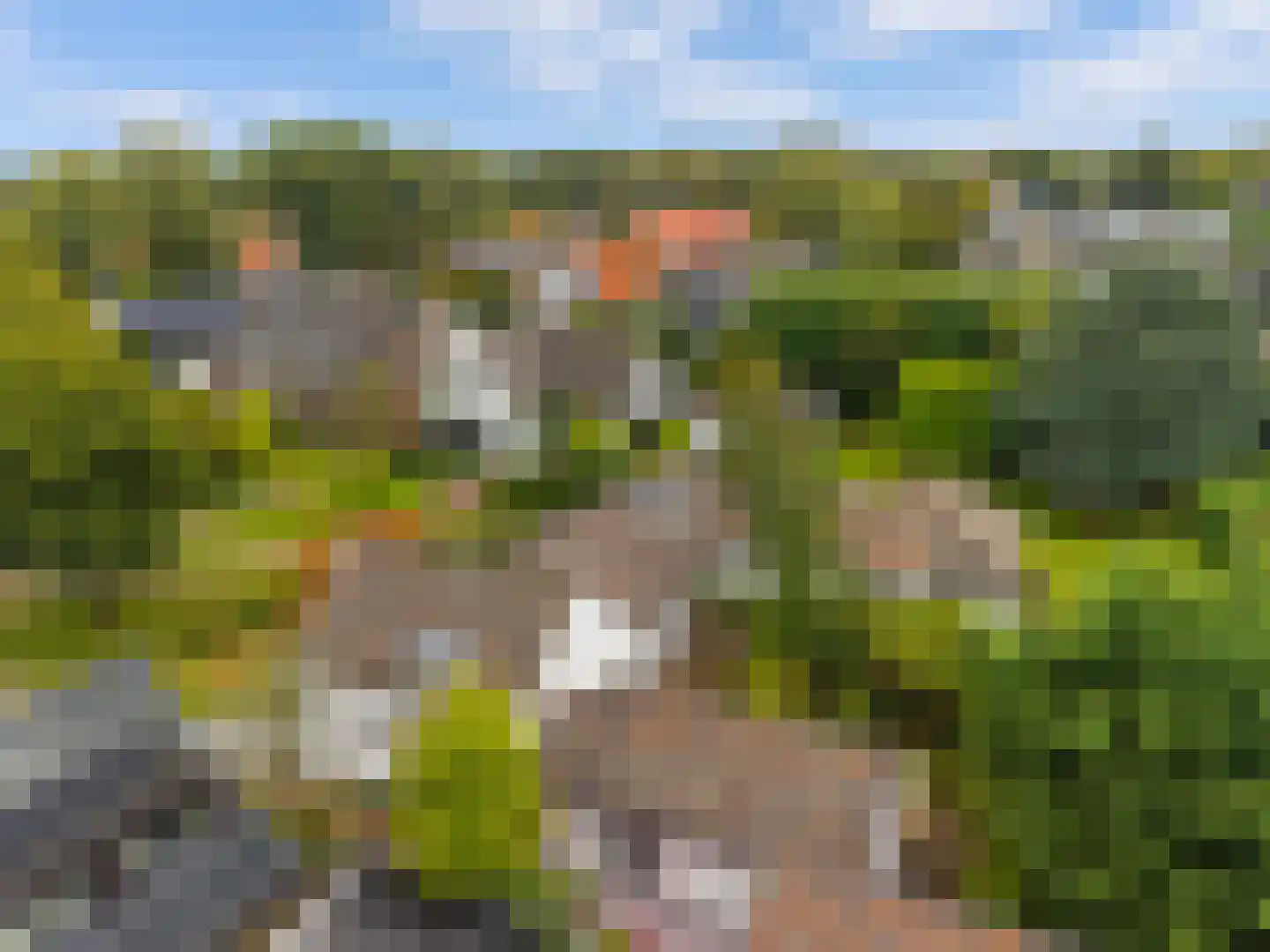 De Wildtlaan 50 Heiloo thumbnail 44