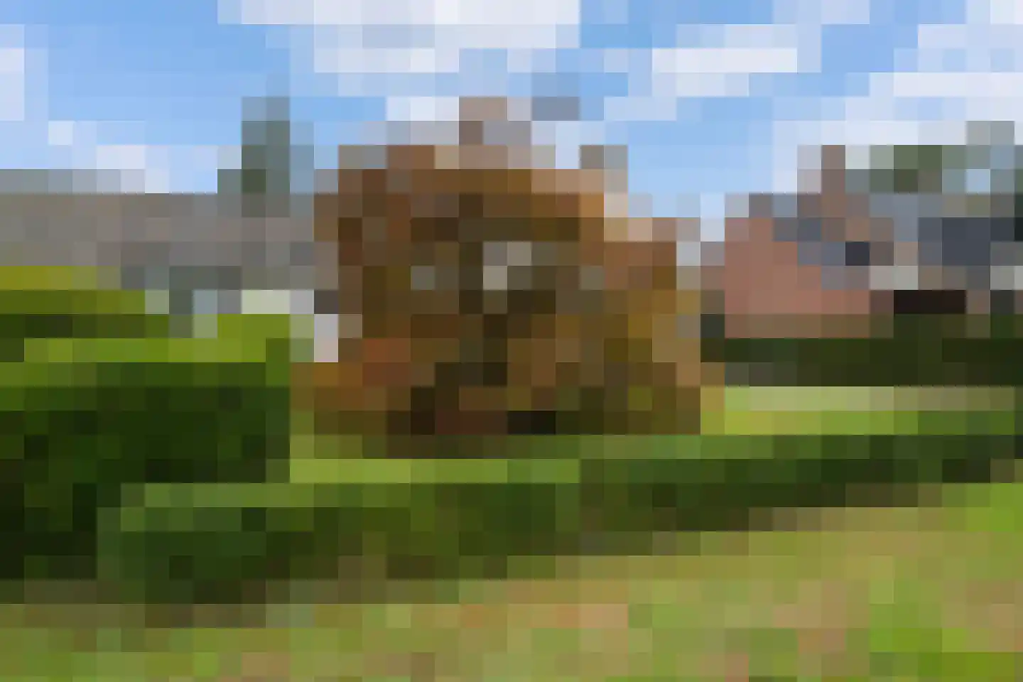 De Wildtlaan 50 Heiloo thumbnail 45