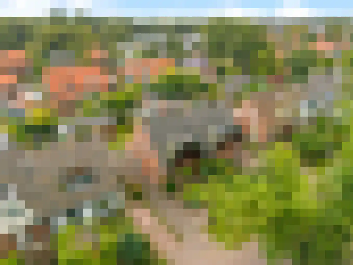 De Wildtlaan 8 Heiloo