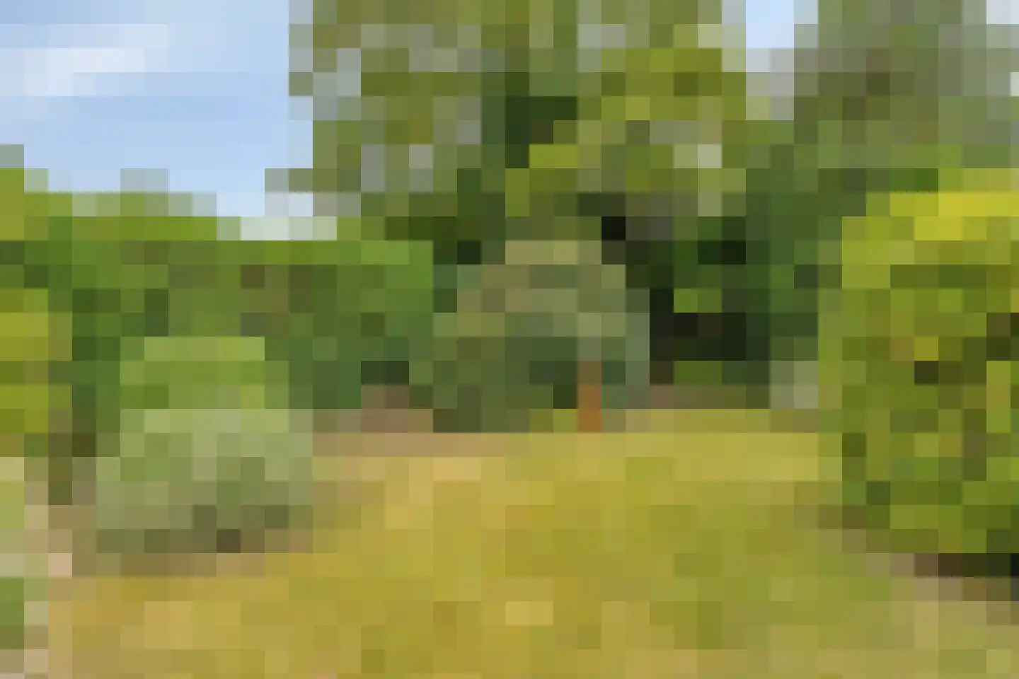 de Wildtstraat 8 Heemskerk thumbnail 24