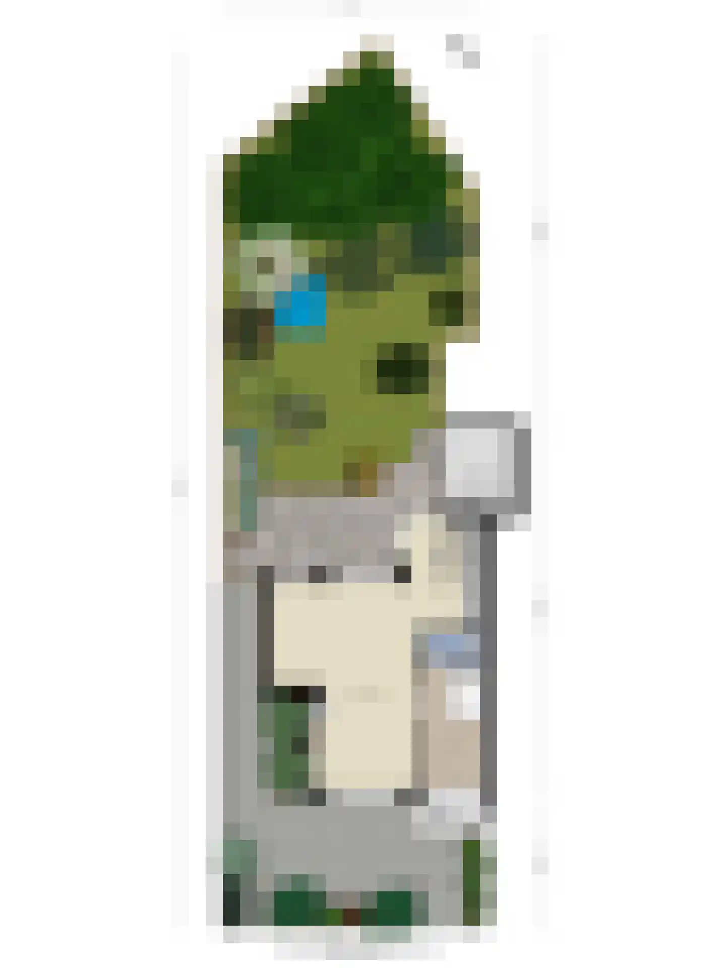 de Wildtstraat 8 Heemskerk thumbnail 31
