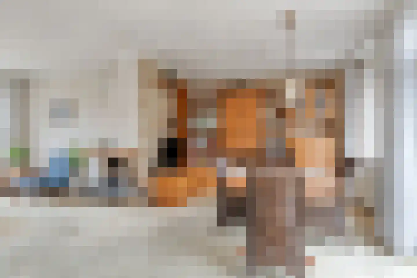 de Wildtstraat 8 Heemskerk thumbnail 5