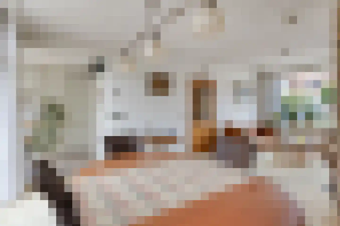 de Wildtstraat 8 Heemskerk thumbnail 6