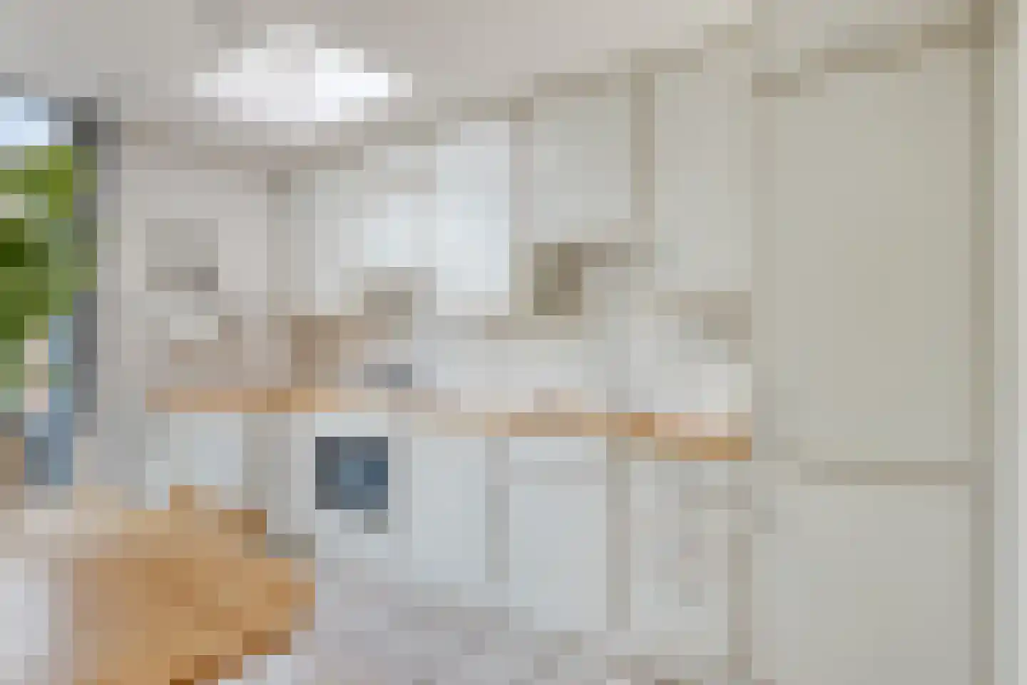 de Wildtstraat 8 Heemskerk thumbnail 7