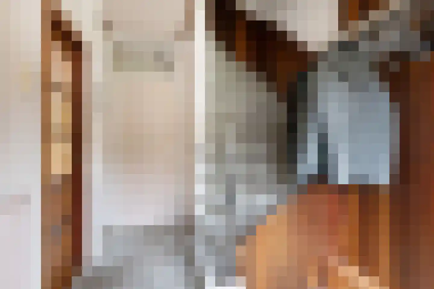 de Wildtstraat 8 Heemskerk thumbnail 9