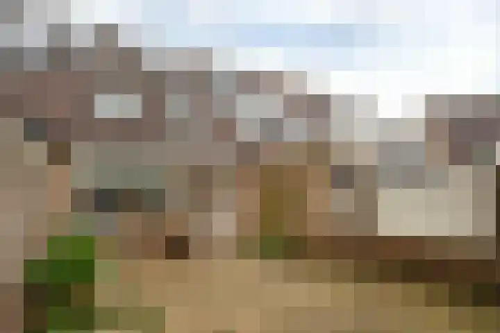 de Wilg 45 Hoogerheide thumbnail 29