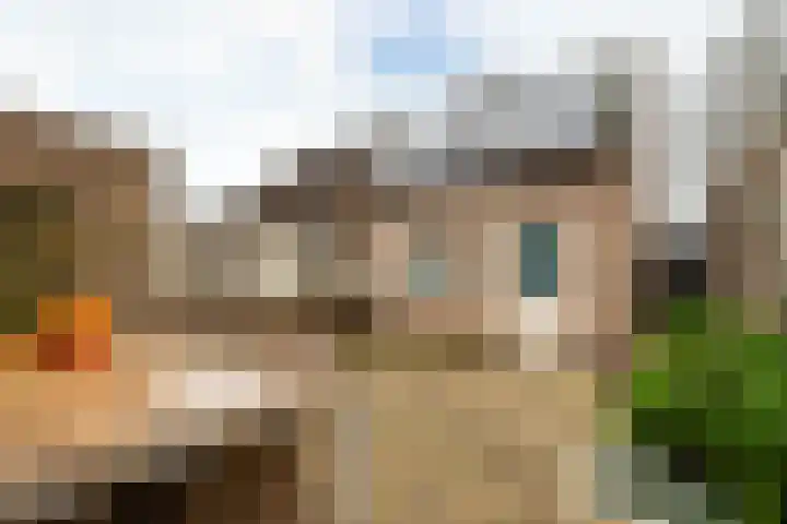 de Wilg 45 Hoogerheide thumbnail 33