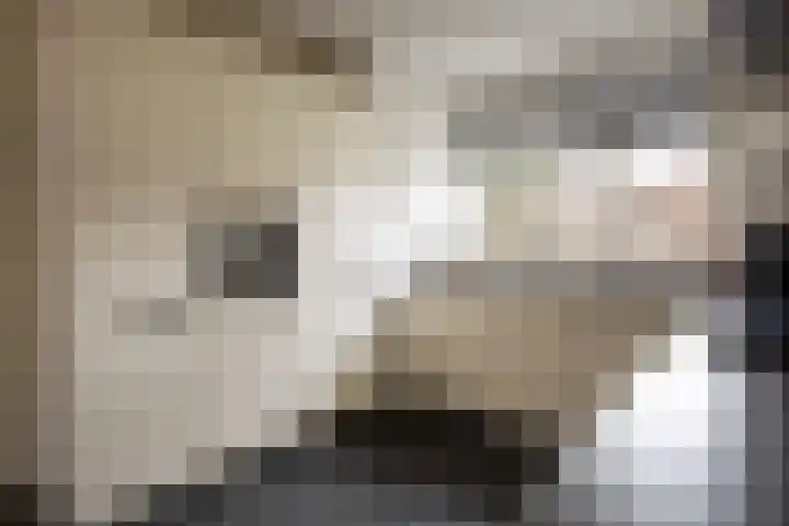 de Wilg 45 Hoogerheide thumbnail 4