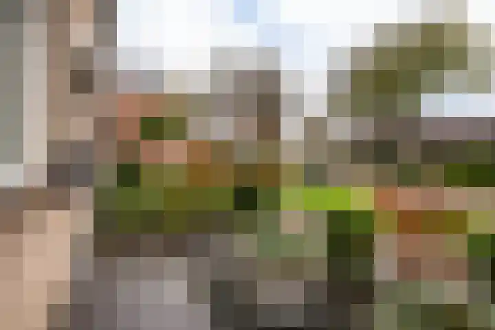 de Wilg 45 Hoogerheide thumbnail 40