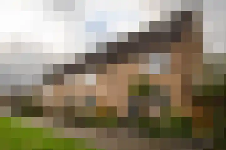 de Wilg 45 Hoogerheide thumbnail 41