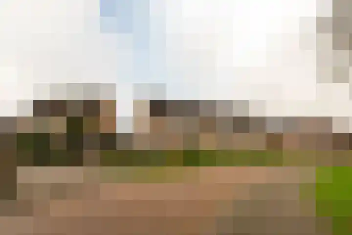 de Wilg 45 Hoogerheide thumbnail 44