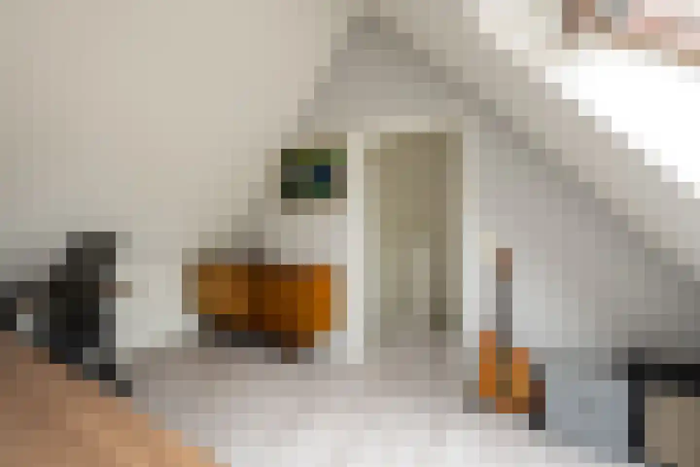 de Wilg 46 Hoogerheide thumbnail 31