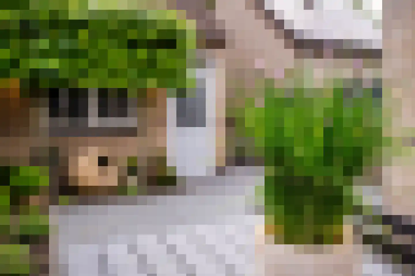 de Wilg 46 Hoogerheide thumbnail 36