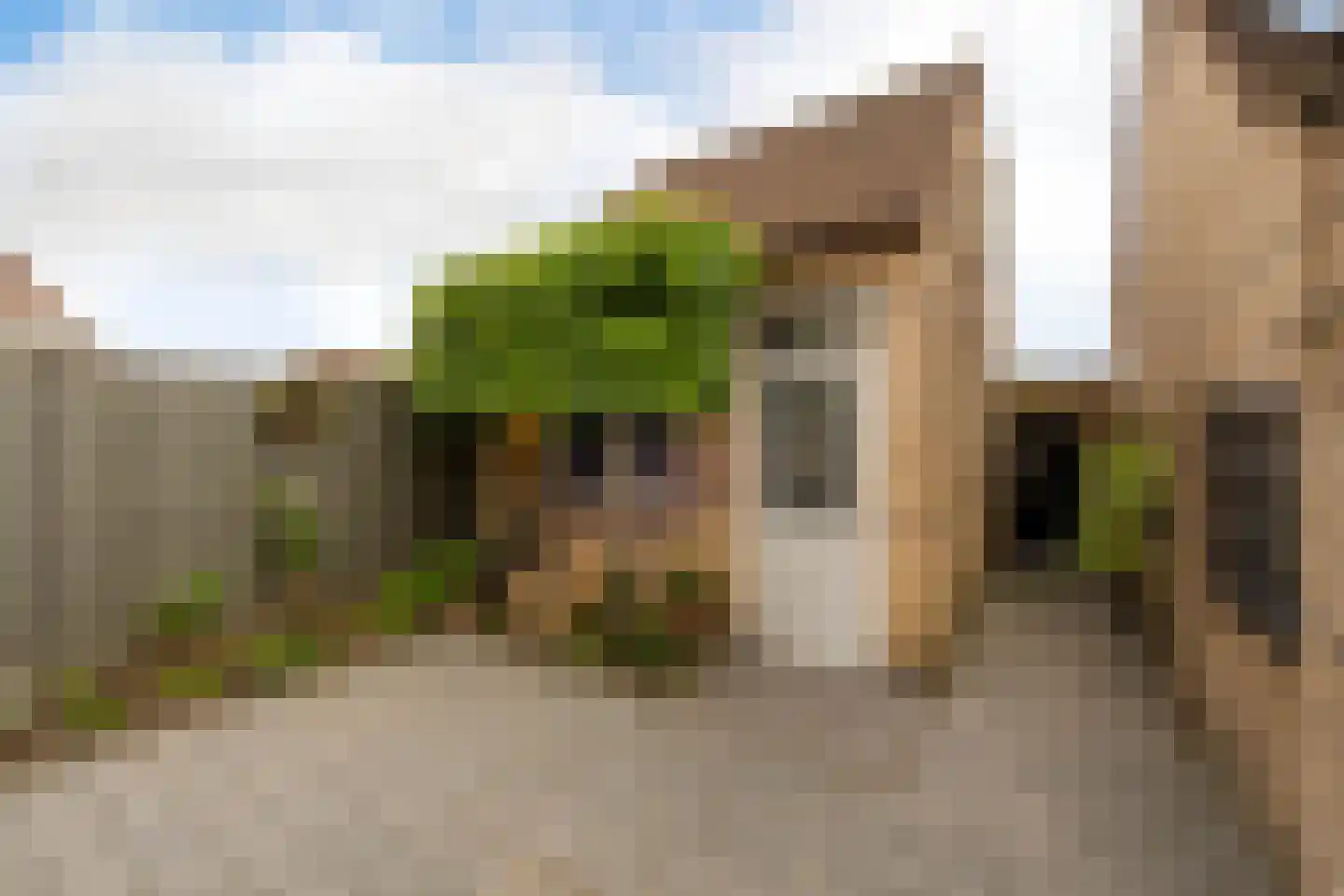 de Wilg 46 Hoogerheide thumbnail 37